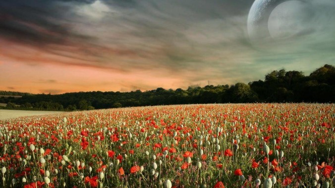 曾经的班花,现在还多少人惦记?